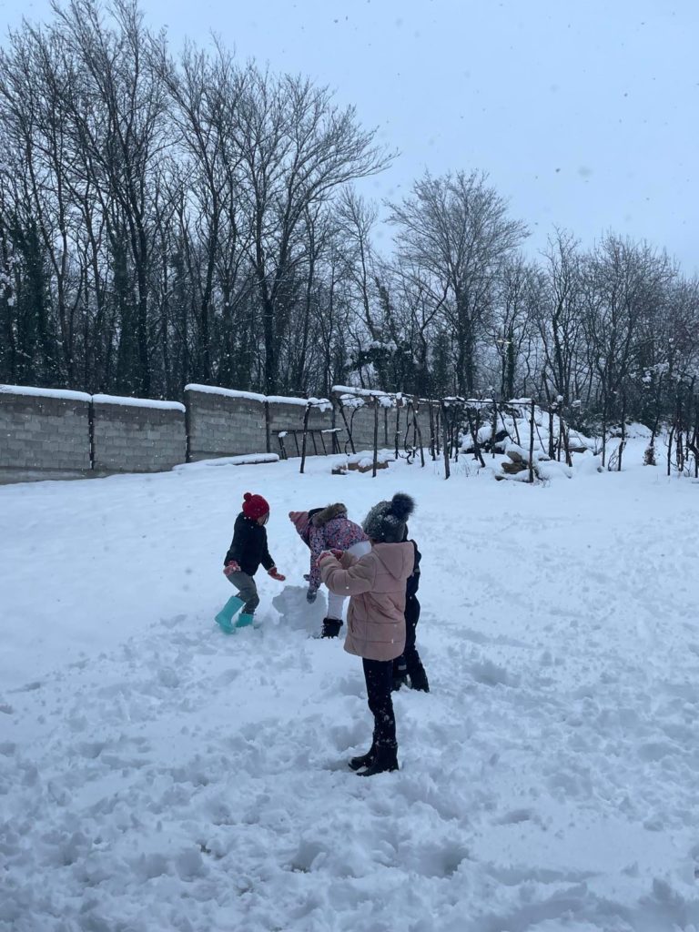 クタイシ インターナショナルコンパクトシティ計画 ジャーニー コーディネーター ジョージア クタイシ インターナショナルコンパクトシティ計画